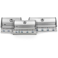 Napoleon Built In Lex BBQ Grill Series in Stainless Steel