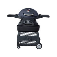 Ziggy Classic Twin Grill LPG BBQ on Cart (Gunmetal Grey)